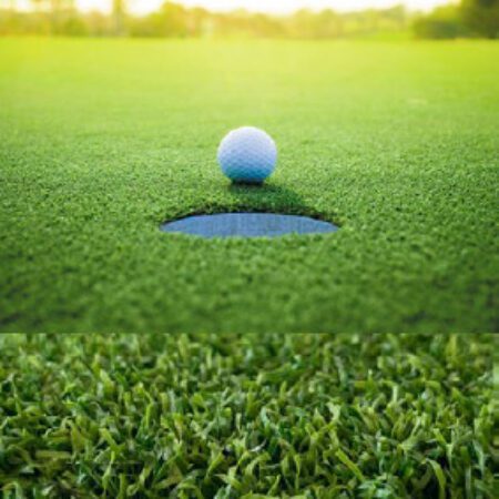 Cambridge Gator XTurf Putting Green Blend