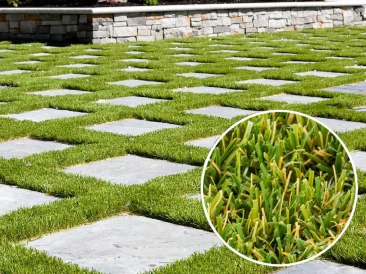 Turf Tek USA Native Turf