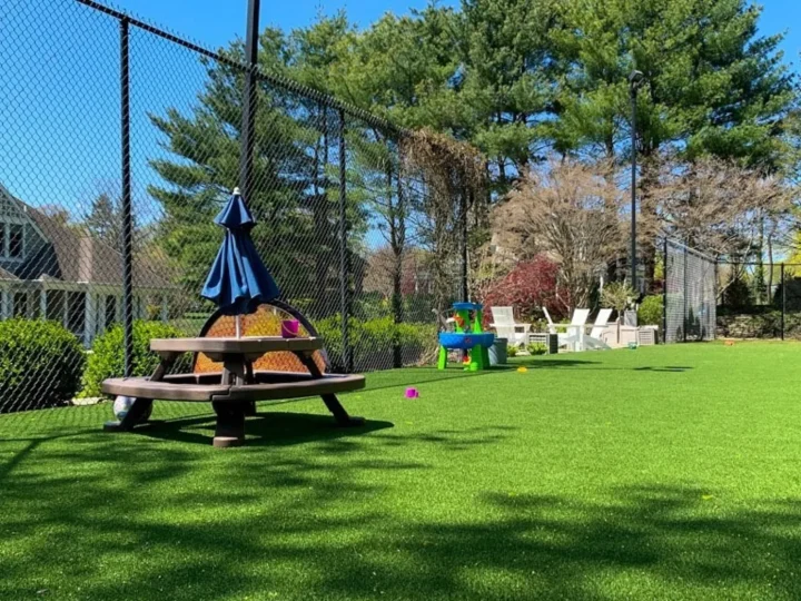 Turf Tek USA Natural Turf - Image 6