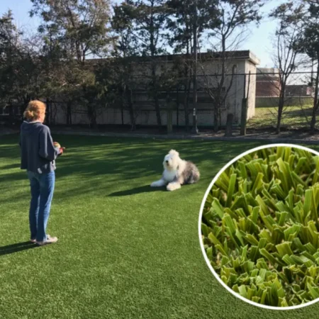 Turf Tek USA Pet & Play Turf