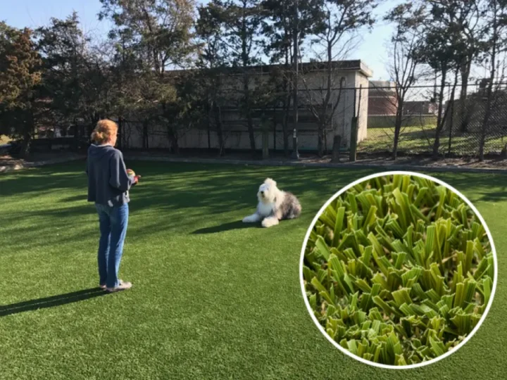 Turf Tek USA Pet & Play Turf