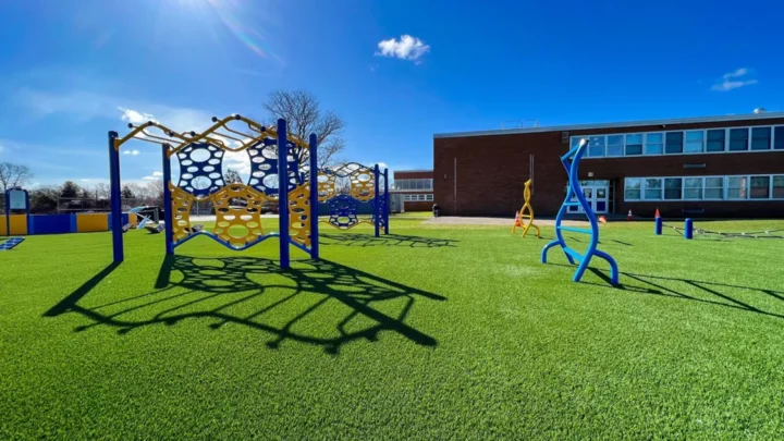 Turf Tek USA Pet & Play Turf - Image 2