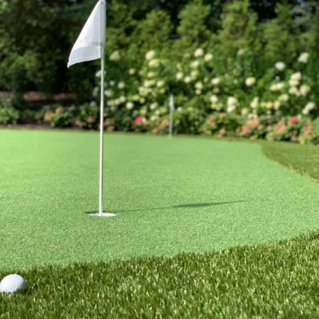 Turf Tek USA Pro Putt Turf